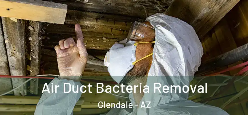 Air Duct Bacteria Removal Glendale - AZ