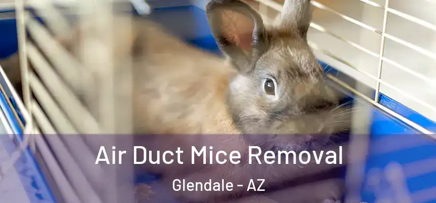 Air Duct Mice Removal Glendale - AZ