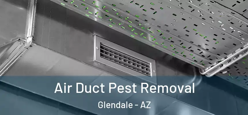 Air Duct Pest Removal Glendale - AZ