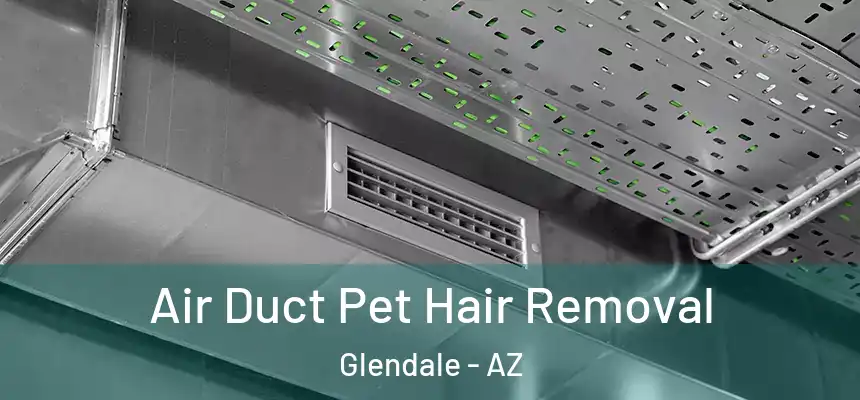 Air Duct Pet Hair Removal Glendale - AZ