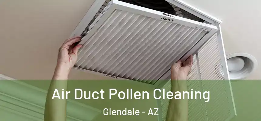 Air Duct Pollen Cleaning Glendale - AZ