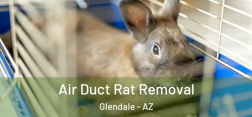 Air Duct Rat Removal Glendale - AZ