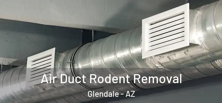 Air Duct Rodent Removal Glendale - AZ