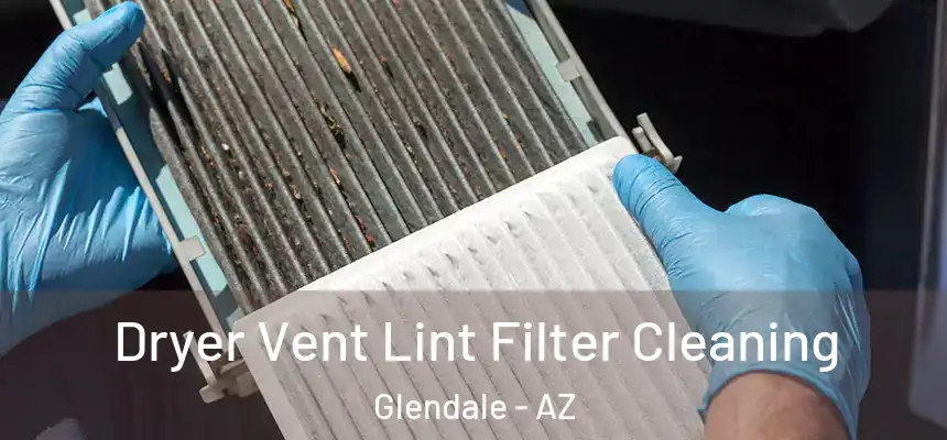 Dryer Vent Lint Filter Cleaning Glendale - AZ