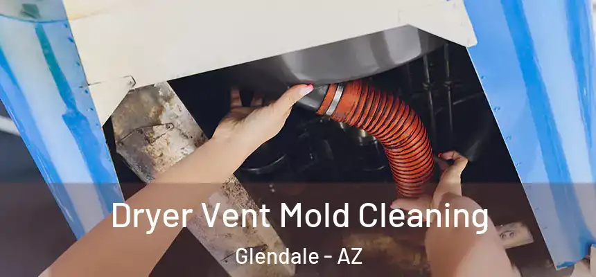Dryer Vent Mold Cleaning Glendale - AZ