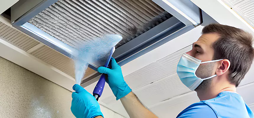 Proactive Dryer Vent & Auxiliary Duct Pollen Cleanup in Glendale, AZ