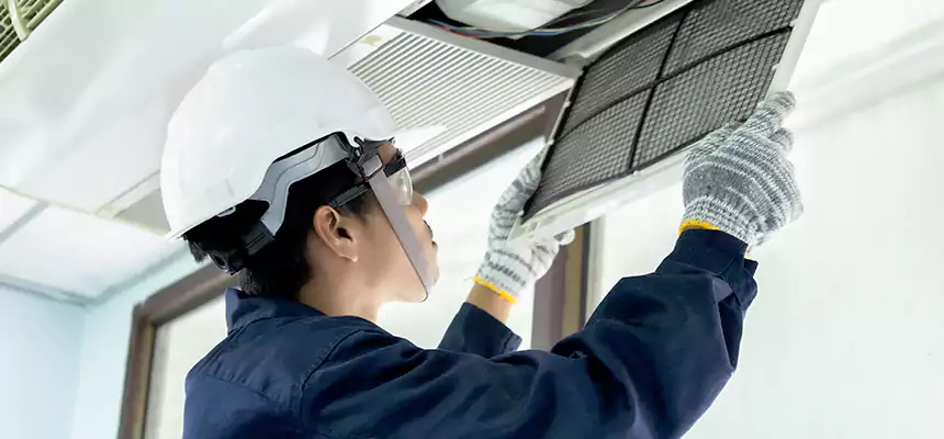 Our Mold & Mildew Removal from Air Ducts Services in Glendale, AZ