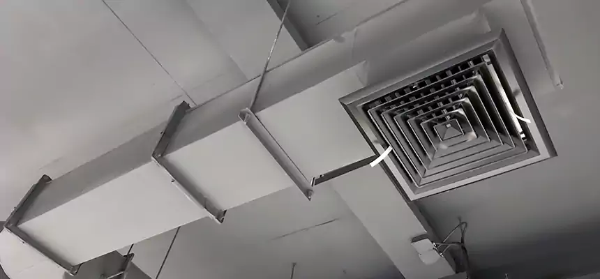 Our Pest Removal From Ducts Services in Glendale, AZ