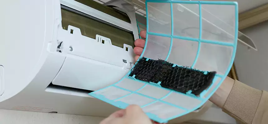 Gentle Ductwork Odor-Control Pet Dander Duct Cleaning in Glendale, AZ