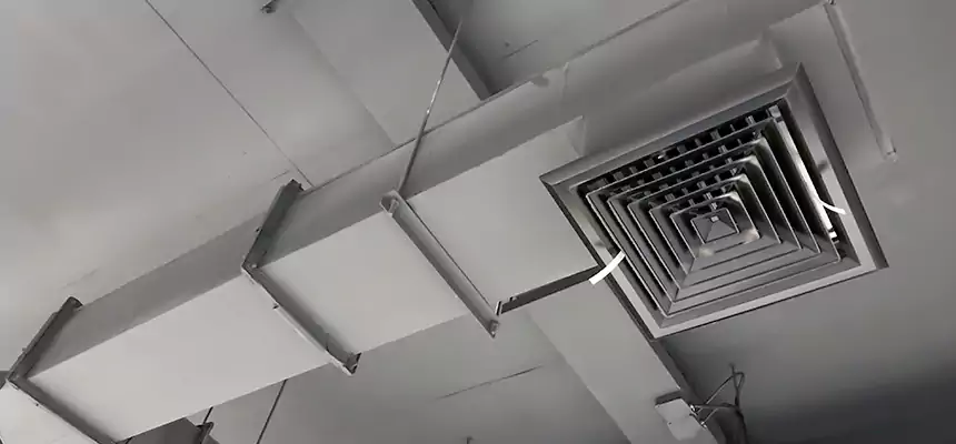 Our Rodent Droppings In Vents Services in Glendale, AZ