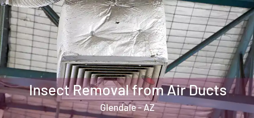 Insect Removal from Air Ducts Glendale - AZ