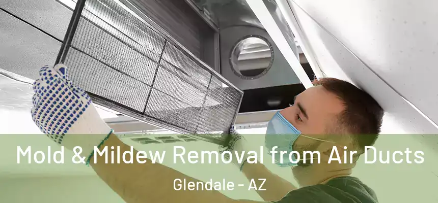 Mold & Mildew Removal from Air Ducts Glendale - AZ