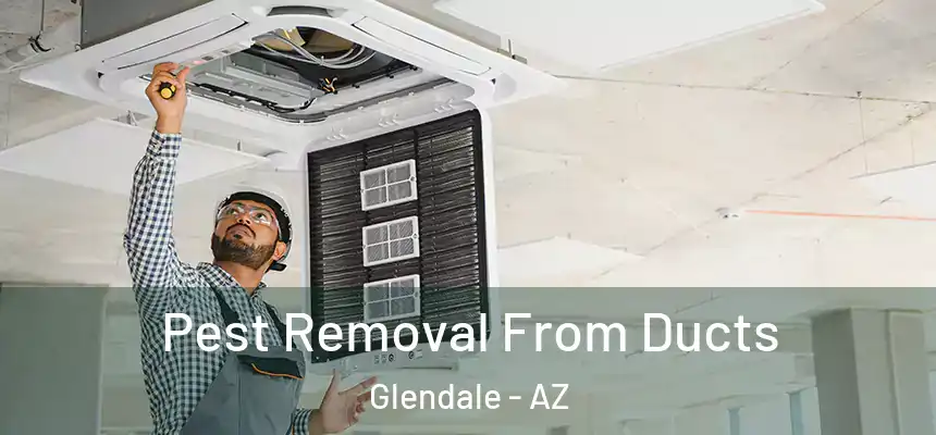 Pest Removal From Ducts Glendale - AZ