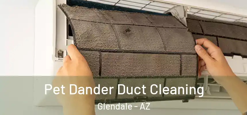 Pet Dander Duct Cleaning Glendale - AZ