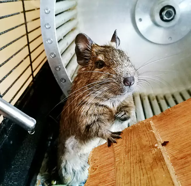 Why Homeowners & Businesses Trust Us Glendale, AZ?