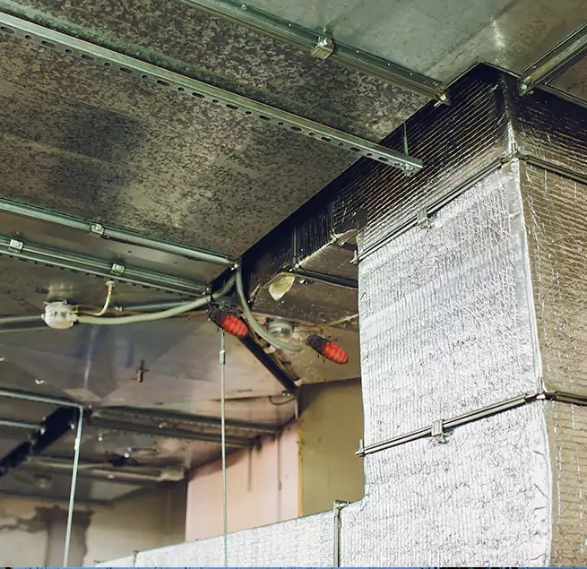 Why Homeowners & Businesses Trust Us Glendale, AZ?